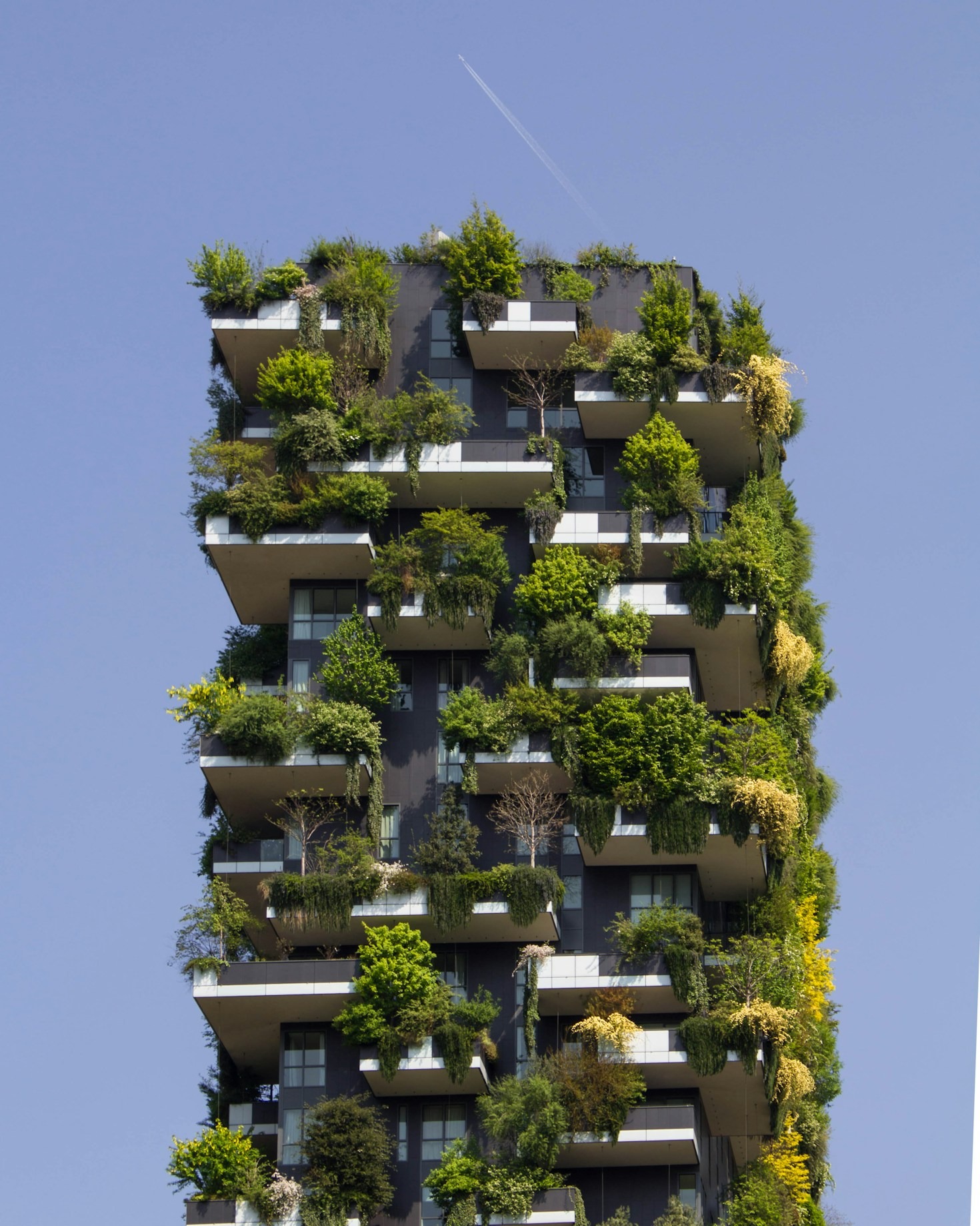 The Principles Behind Regenerative Construction