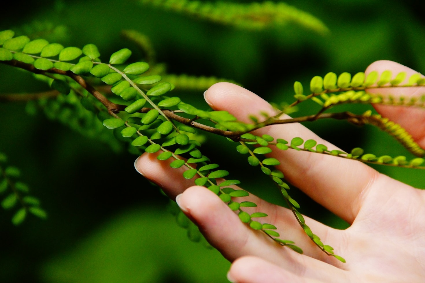 The Interplay of Ecology and Building Practices