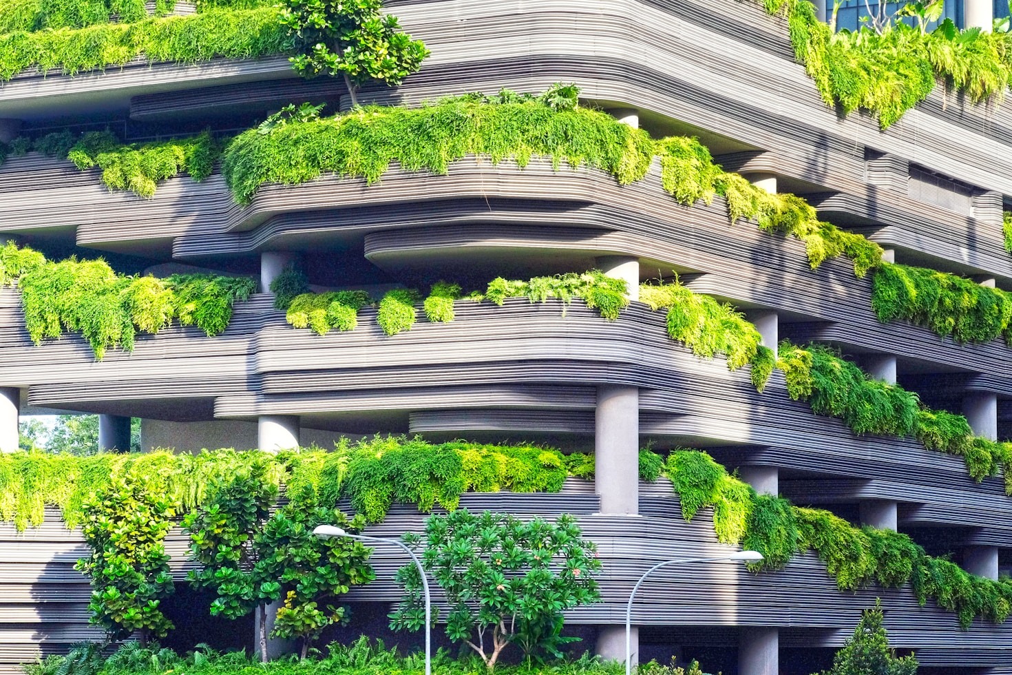 Global Healing Through Sustainable Construction